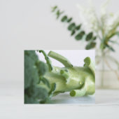 Carte Postale Brocoli (Debout devant)