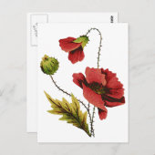 Carte Postale Broderie de crewel Red Poppy (Devant / Derrière)