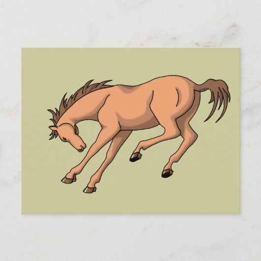 Carte Postale Bronco (Devant)