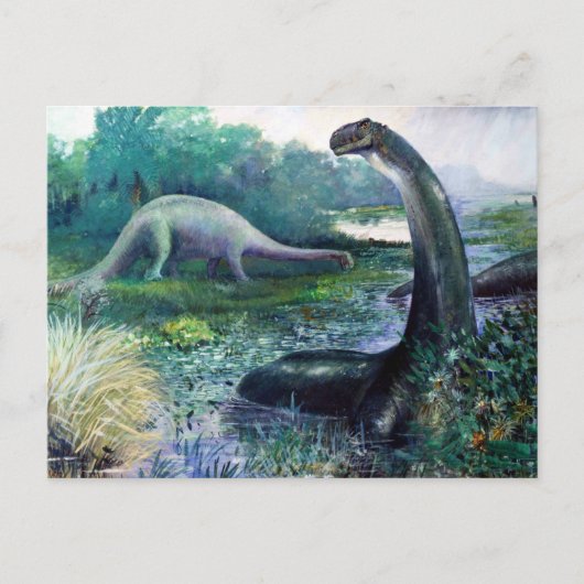 Carte Postale Brontosaurus (Devant)