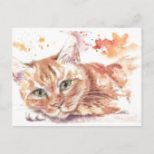 Carte Postale Brooding cat (Devant)