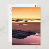 Carte Postale Brookings Harbour Sunset Fine Photo (Devant / Derrière)