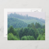 Carte Postale Brookings-Port, Orégon (Devant / Derrière)