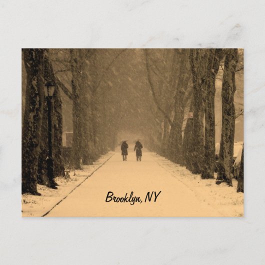 Carte Postale Brooklyn hivernal (Devant)