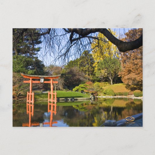 Carte Postale Brooklyn New York Botanic Garden Fall (Devant)