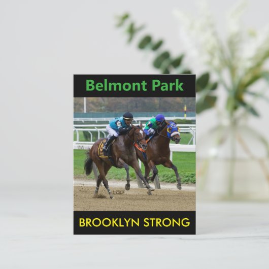 Carte Postale Brooklyn Strong - Orbe d'aigle (Debout devant)