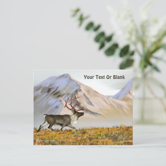 Carte Postale Brooks Range Caribou (Debout devant)