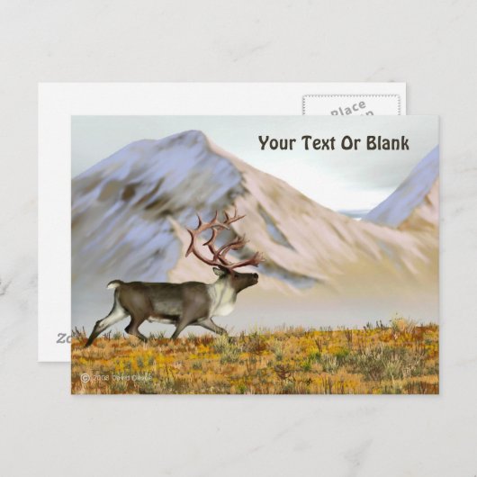 Carte Postale Brooks Range Caribou (Devant / Derrière)