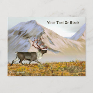 Carte Postale Brooks Range Caribou