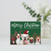 Carte Postale Brosse Script Star Joyeux Chiens de Noël Vert (Debout devant)