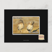 Carte Postale Brothah d'heure-milliampère (Devant)