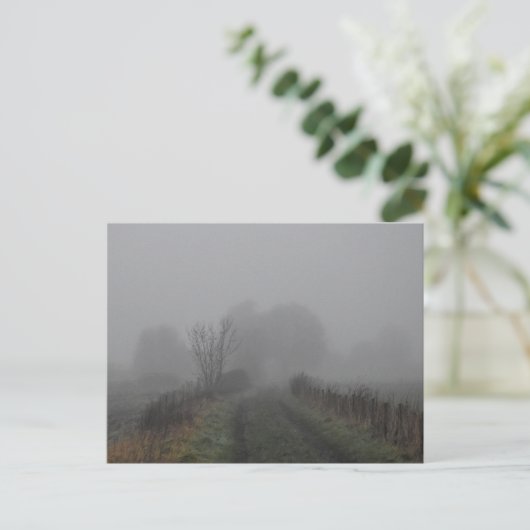 Carte Postale brouillard (Debout devant)