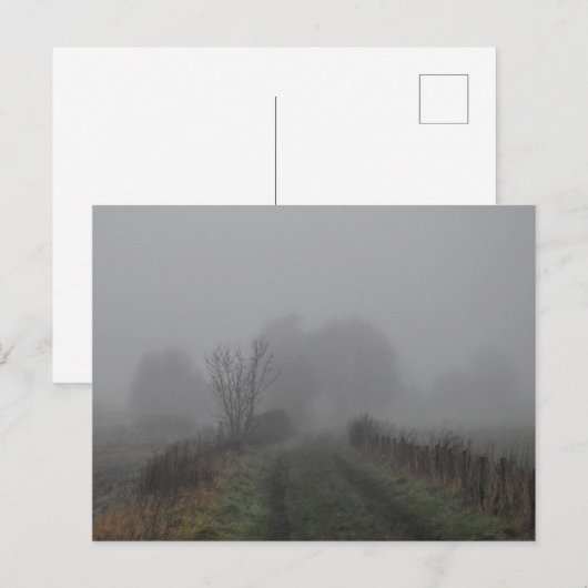 Carte Postale brouillard (Devant / Derrière)