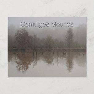 Carte Postale Brouillard dans les zones humides de Walnut Creek,