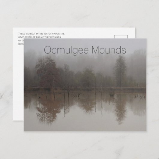 Carte Postale Brouillard dans les zones humides de Walnut Creek, (Devant / Derrière)