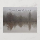 Carte Postale Brouillard dans les zones humides de Walnut Creek, (Devant)