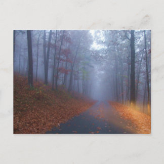 Carte Postale Brouillard d'automne