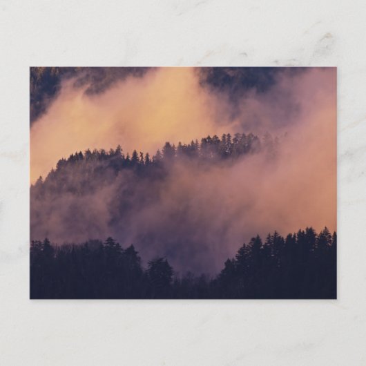 Carte Postale Brouillard d'hiver dans la vallée au coucher du so (Devant)