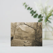 Carte Postale Brouillard du matin (Debout devant)