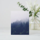 Carte Postale Brouillard forestier (Debout devant)