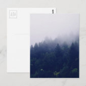 Carte Postale Brouillard forestier (Devant / Derrière)
