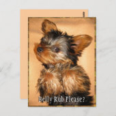 Carte Postale Brouillard pour un Yorkie ? (Devant / Derrière)