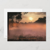 Carte Postale brouillard sur le pré (Devant / Derrière)