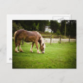 Carte Postale Brouillon après le bain (Devant / Derrière)