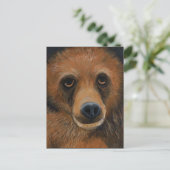 Carte postale Brown (Debout devant)