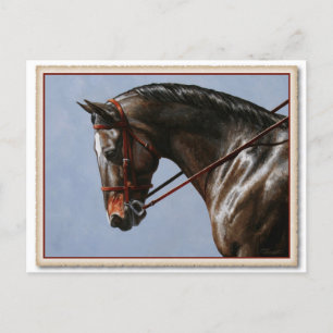 Carte Postale Brown Bay Oldenburg Horse Portrait