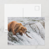 Carte Postale Brown Bear Catches Red Salmon (Devant / Derrière)