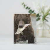 Carte Postale Brown bear ou Coastal Grizzly Bear, Ursus (Debout devant)