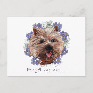 Carte Postale Brown Cairn Terrier Oubliez-moi-ne-pas