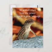 Carte postale Brown d'Anole (lézard) (Devant / Derrière)