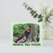 Carte Postale Brown de l'ours Hugger d'arbre origi (Debout devant)