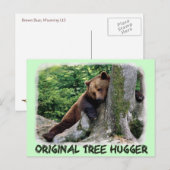 Carte Postale Brown de l'ours Hugger d'arbre origi (Devant / Derrière)