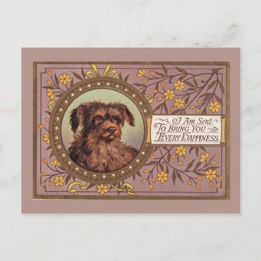 Carte Postale Brown Dog Vintage (Devant)