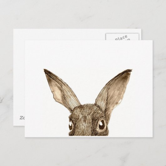 Carte postale Brown Hare II (Devant / Derrière)