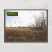 Carte Postale Brown Kittery Seapoint Beach Maine Nature (Devant)