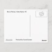 Carte postale Brown Pélican #2 OBX (Dos)