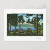 Carte Postale Brown Swan Park Vue sur le lac (Devant)