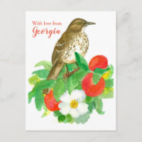 Brown Thrasher Avec Amour De Géorgie