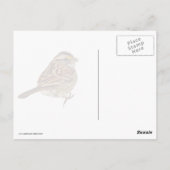 Carte Postale Bruant à gorge blanche (Dos)