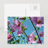 Carte Postale Bruant des arbres (Lavatera arborea) (Devant / Derrière)