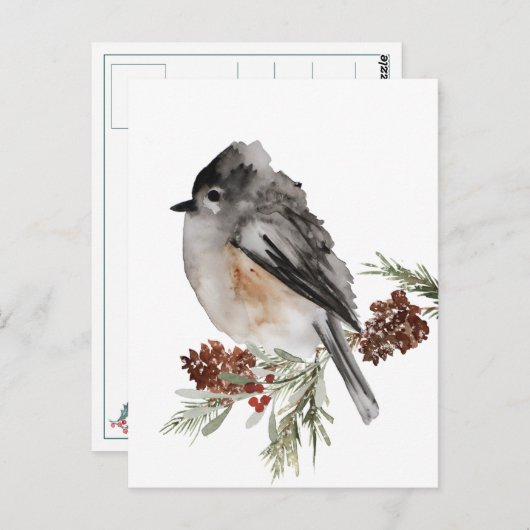 Carte Postale Bruant D'Hiver Reposé Sur L'Épinette Aux Berries R (Devant / Derrière)