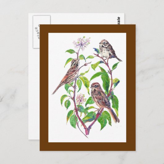 Carte Postale Bruants, Oiseaux mignons, Nature, Faune (Devant / Derrière)