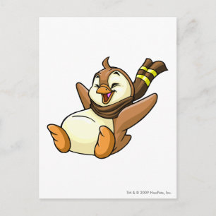 Carte Postale Bruce Brown