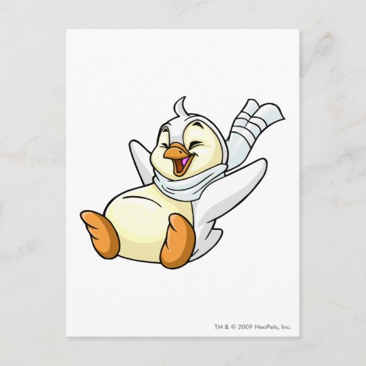 Carte Postale Bruce White (Devant)