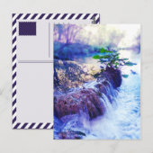 Carte Postale brume d'eau (Devant / Derrière)