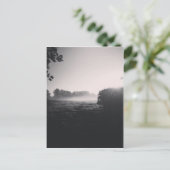 Carte Postale Brume matinale et soleil bas sur le terrain quand  (Debout devant)